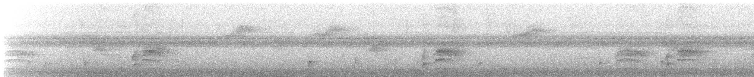Zorzalito de Swainson - ML634195929