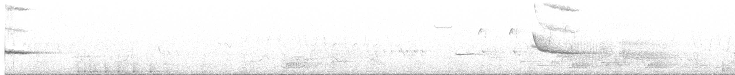 Red-bellied Woodpecker - ML634196811