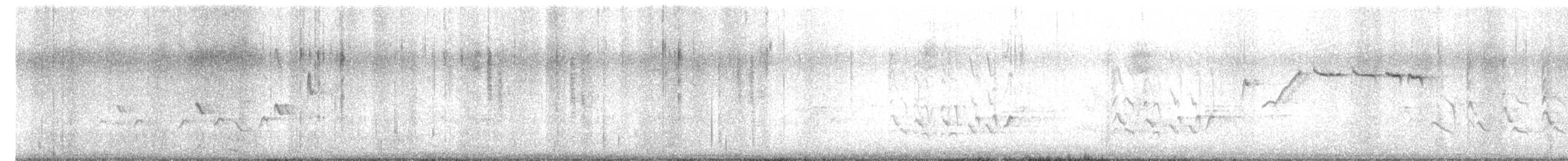 ルビーキクイタダキ - ML634197674