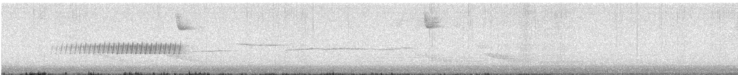Pine Warbler - ML634200456