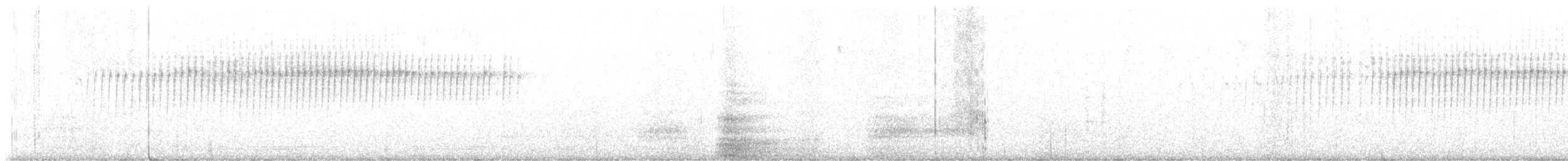 Pacific Wren - ML634208256
