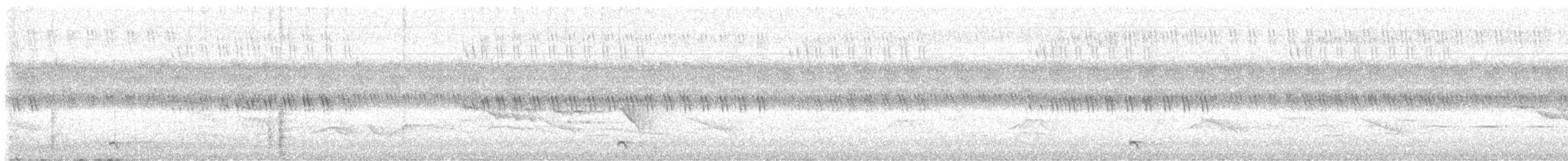 Jerdon's Nightjar - ML634208803