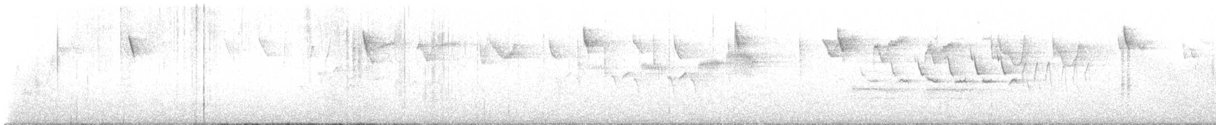 new world warbler sp. - ML634210474