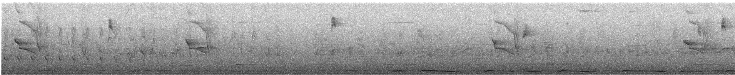 Social Flycatcher - ML634210559