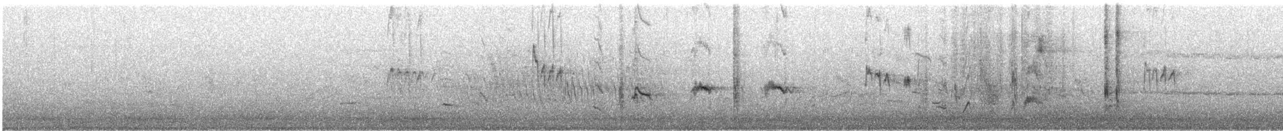 Streak-backed Oriole - ML634210586