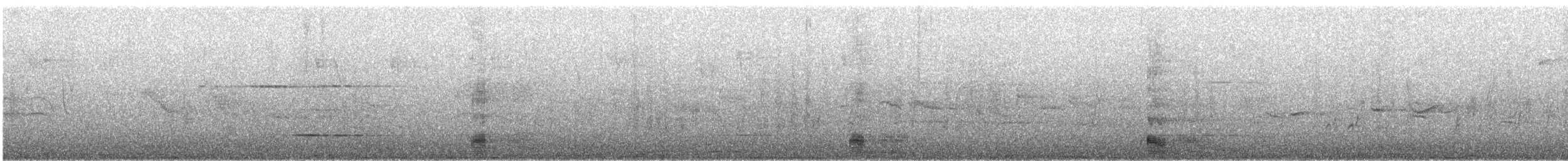 Neotropic Cormorant - ML634210657