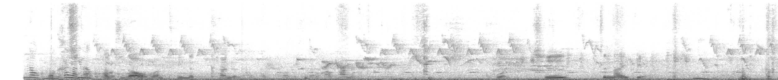 White-breasted Waterhen - ML634210732