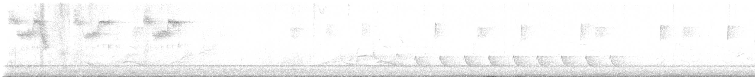 Warbling Vireo - ML634212562