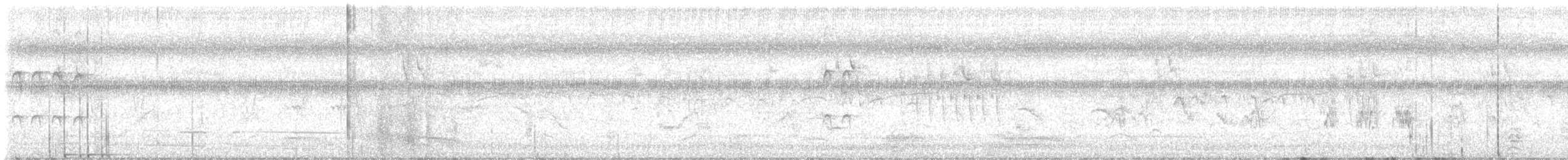 bird sp. - ML634215186