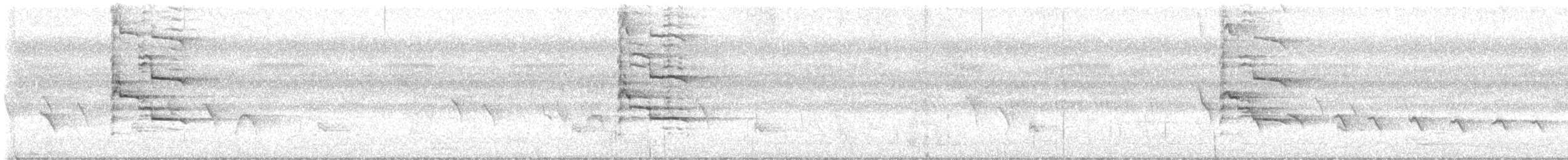 Indian Gray Hornbill - ML634215227