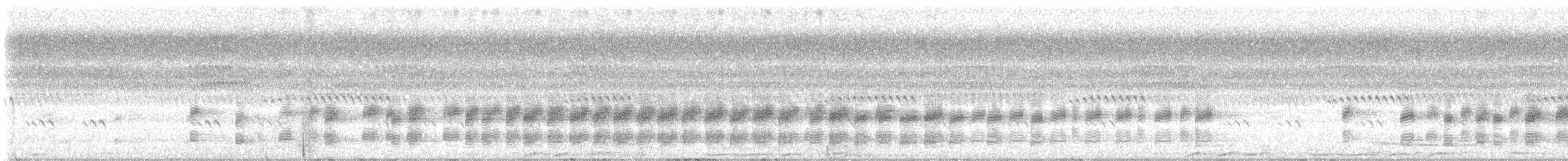 bird sp. - ML634215420