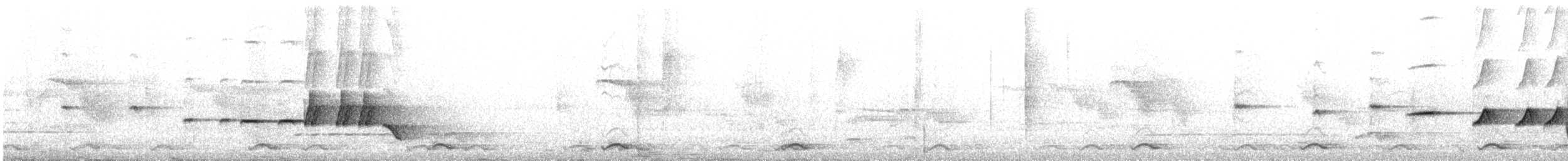 Gray-bellied Tesia - ML634217550