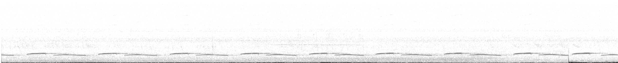 Barred Long-tailed Cuckoo - ML634219541