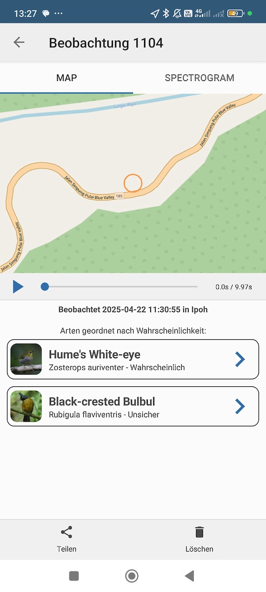 Hume's White-eye - ML634220787