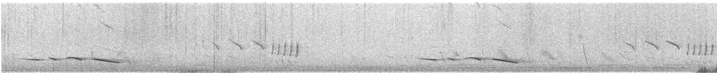 Black-crowned Tchagra - ML634222735