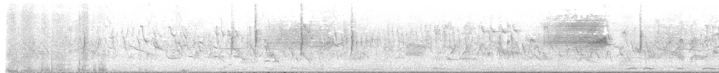 stripesisik - ML634225202