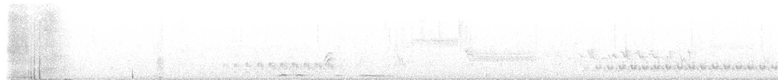 Cactus Wren - ML634225497