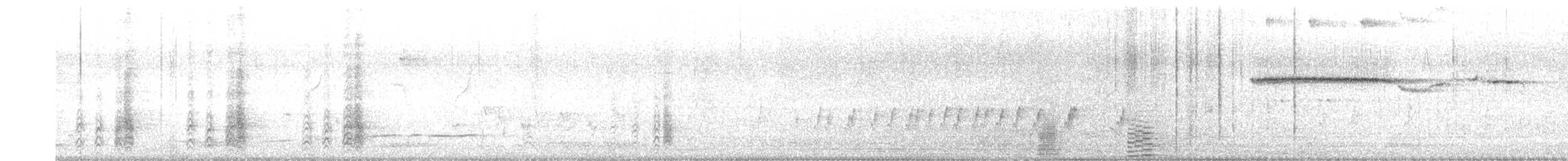 Red Spurfowl - ML634226190