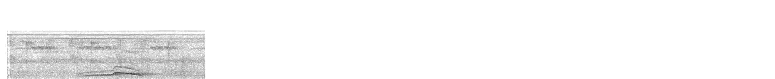 White-browed Owl - ML634226273
