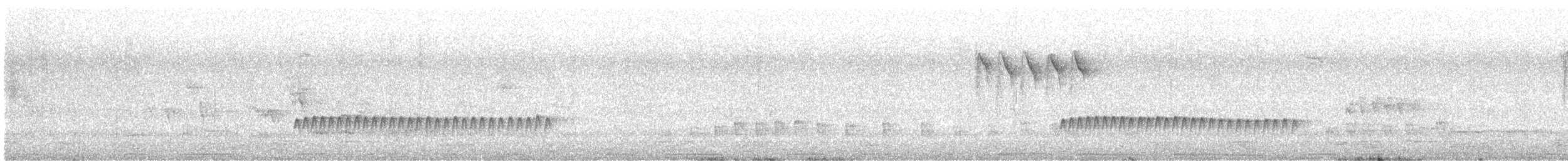 spettmeis (europaea gr.) - ML634230855
