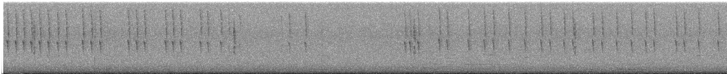 Slender Sheartail - ML634231913