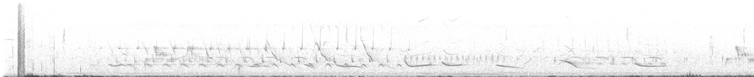 Schwarzkopftrupial - ML634235553