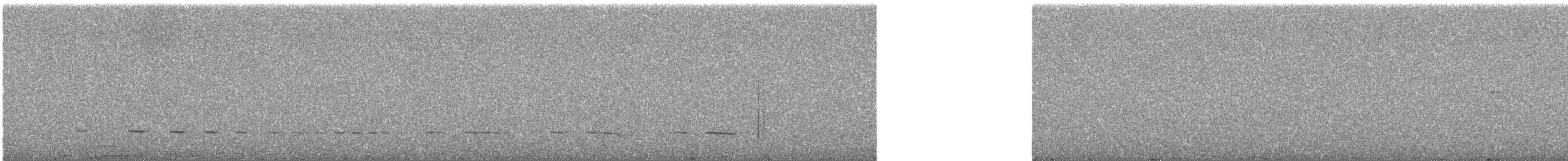 Equatorial Antpitta - ML634236432