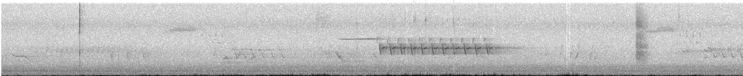 Bachman's Sparrow - ML634236455