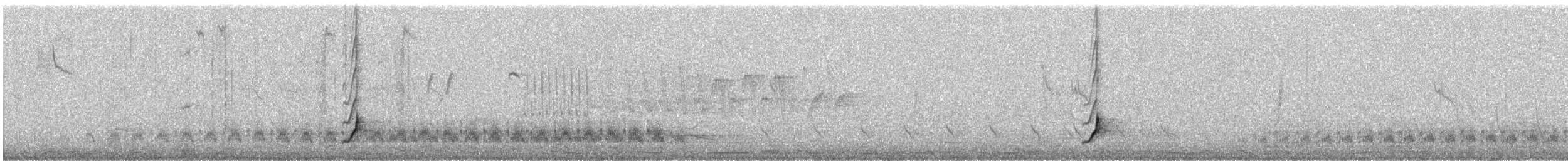 Brown-crested Flycatcher - ML634236696