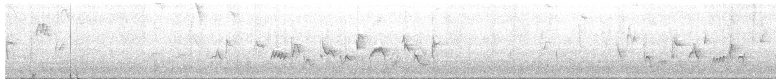 Western Warbling Vireo - ML63423781