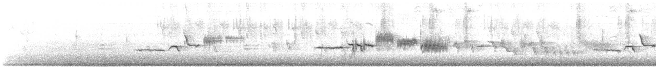 strnadec bělopásý (ssp. gambelii) - ML634250485