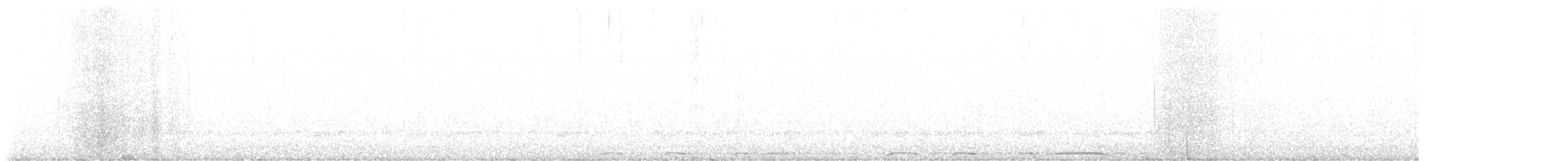 Barred Owl - ML634251585