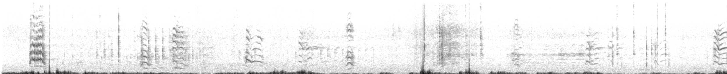 Royal Tern - ML634252554