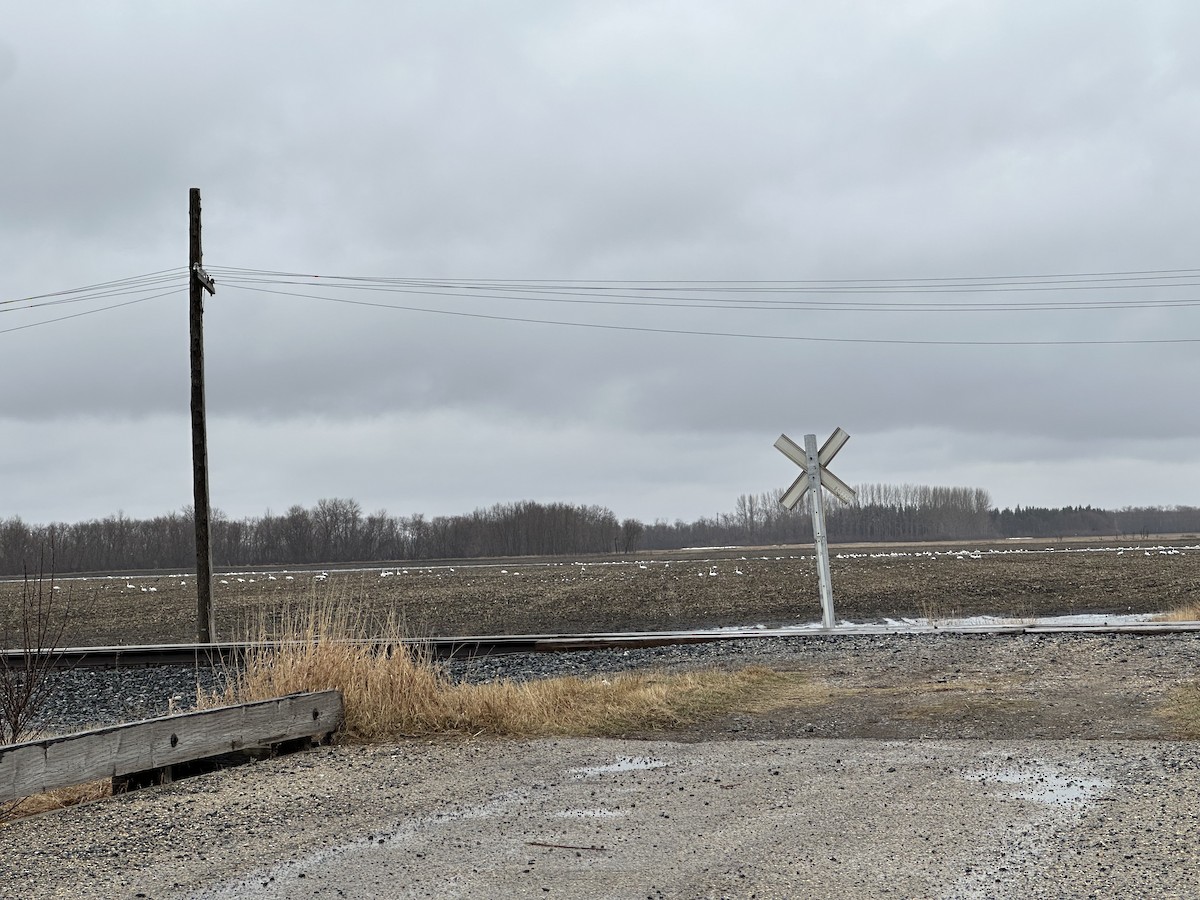 Хун - ML634253519