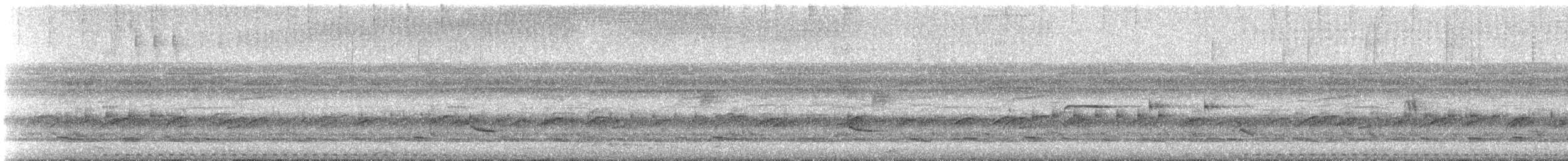 Puerto Rican Owl - ML634255192