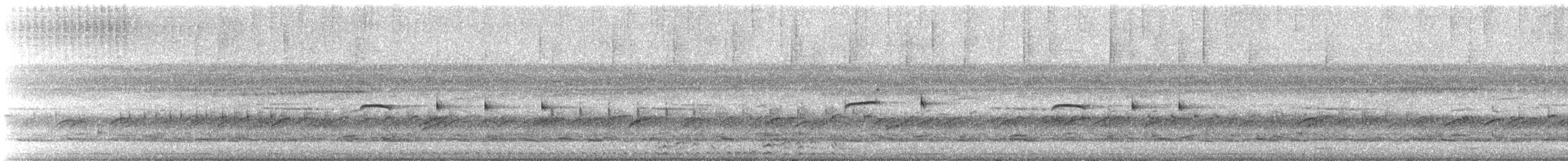 Puerto Rican Owl - ML634255193