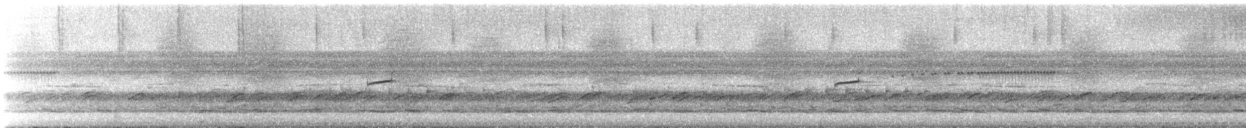 Puerto Rican Owl - ML634255194