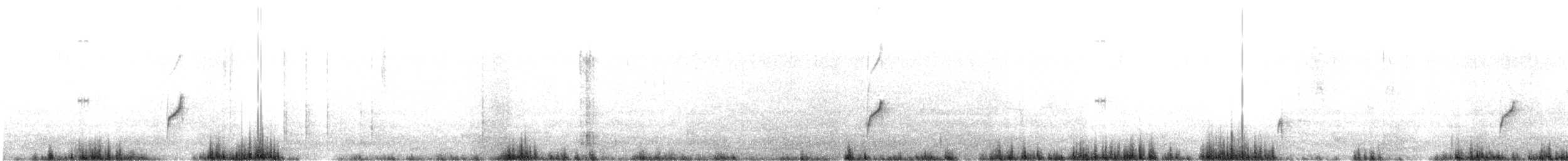 Solitary Sandpiper - ML634256297