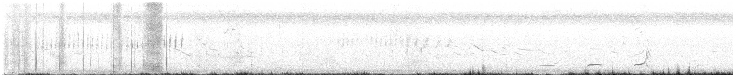 Northern Bobwhite - ML634257212