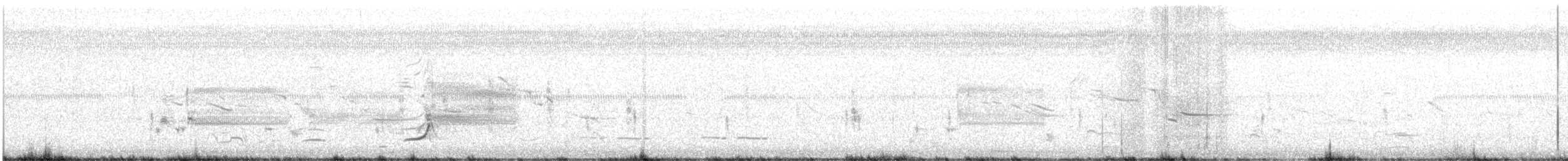 Northern Bobwhite - ML634257706