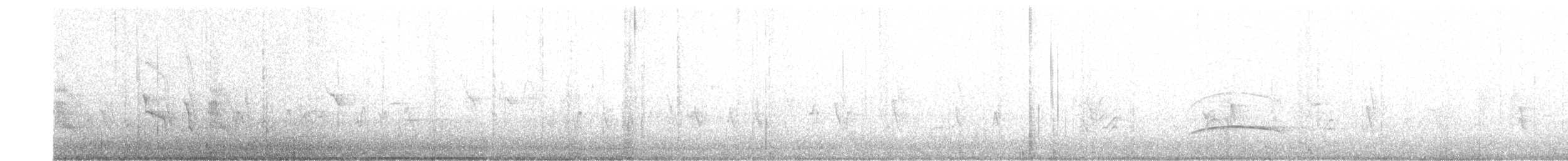 Social Flycatcher - ML634257741