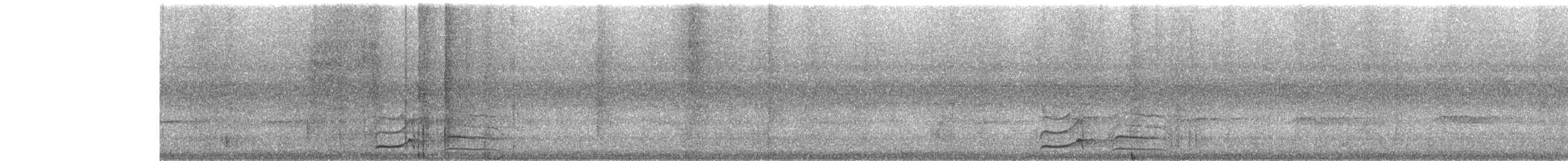 Waved Woodpecker - ML634270627