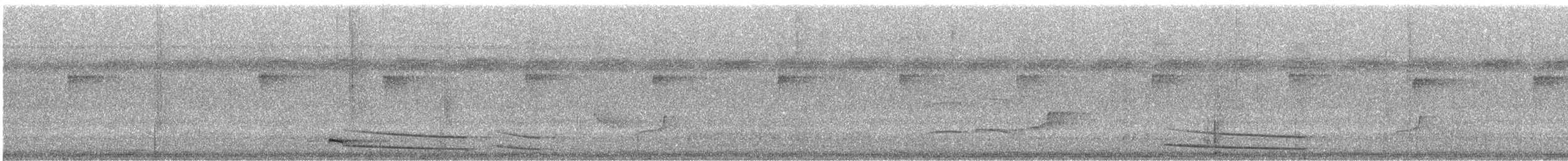 Waved Woodpecker - ML634270628