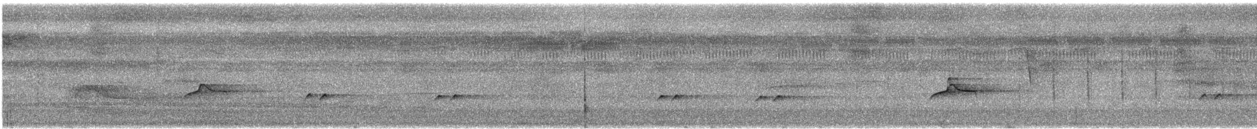 Piratic Flycatcher - ML634271144