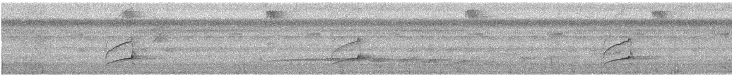 Piratic Flycatcher - ML634271146