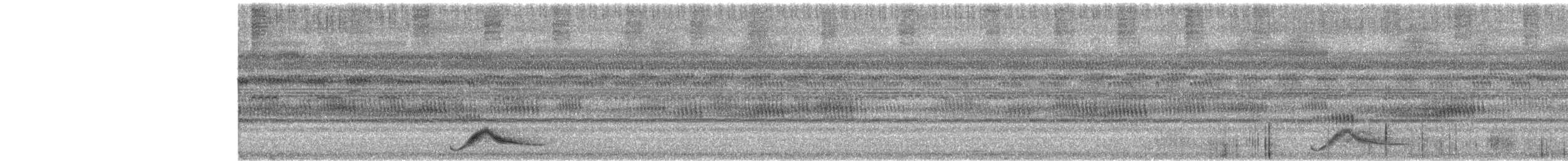 Common Pauraque - ML634271467