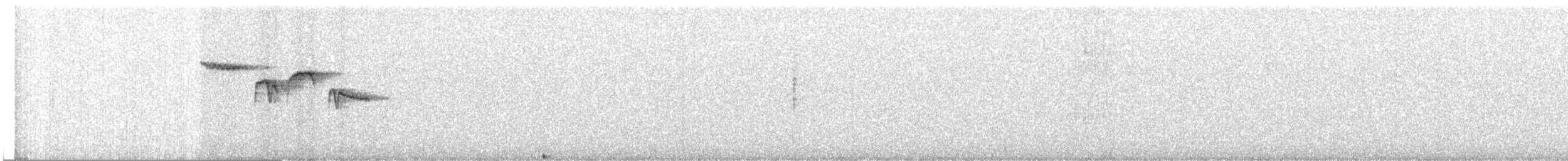 Brown Creeper - ML634273049