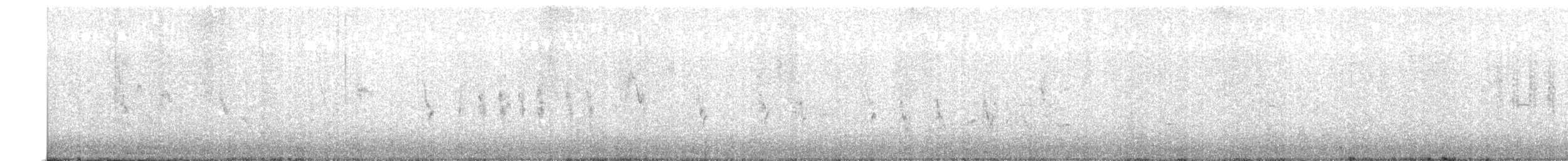 Red-tailed Shrike - ML634273502