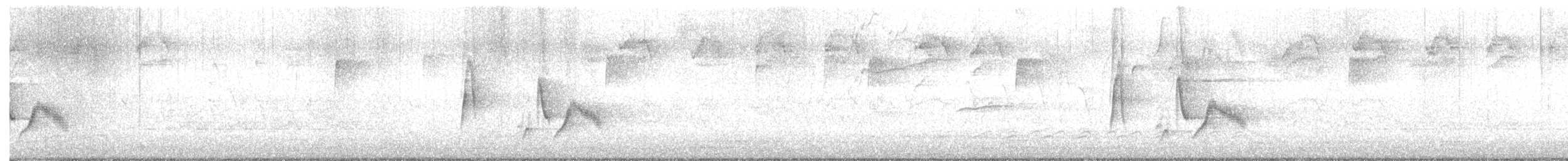 White-eyed Vireo - ML634275367
