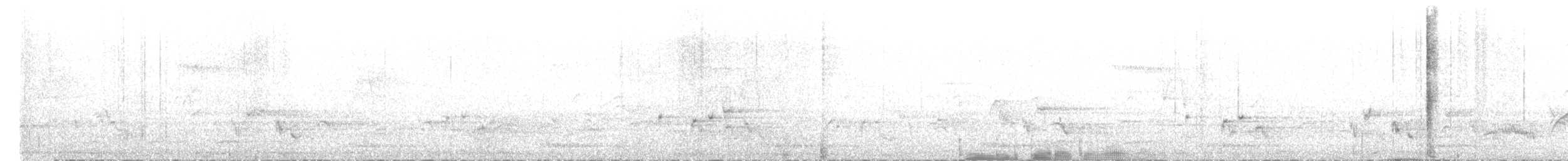 Akalat à poitrine tachetée - ML634275671